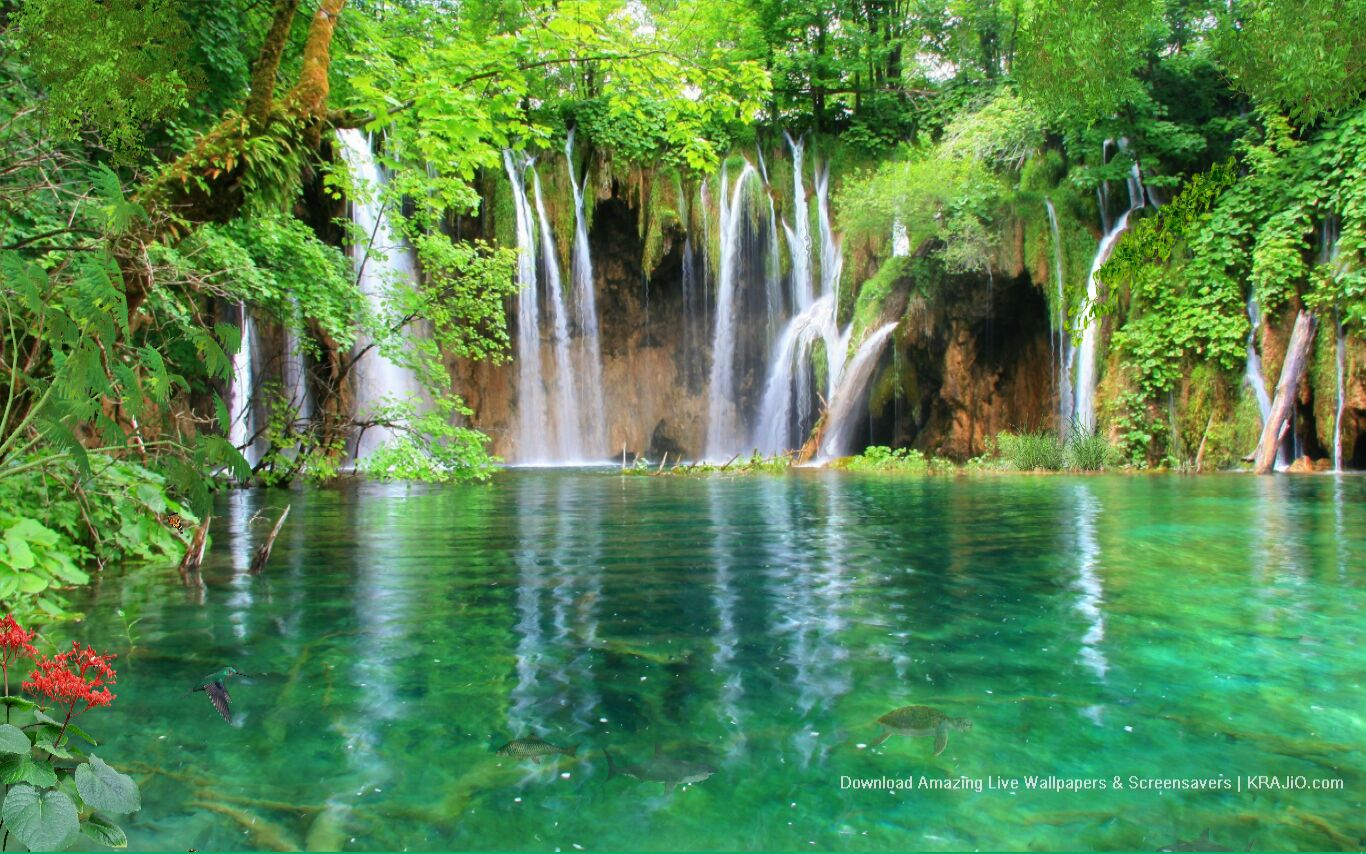 Majestic Waterfall In Forest Live Wallpaper Screensaver For PC 4K HD ...